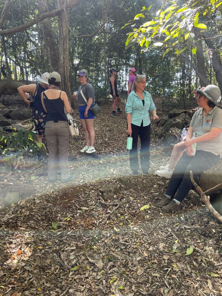 TakeShape Adventures - ForestTherapy Image