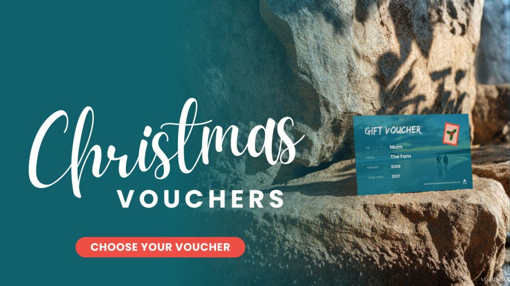 Home 11 Christmas voucher banner 2025 compressed