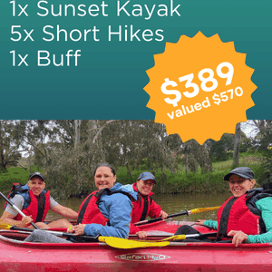 New Year Package 2026