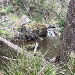 Victorian Day Hikes 16 TakeShape Adventures - SpargoCreek (1)