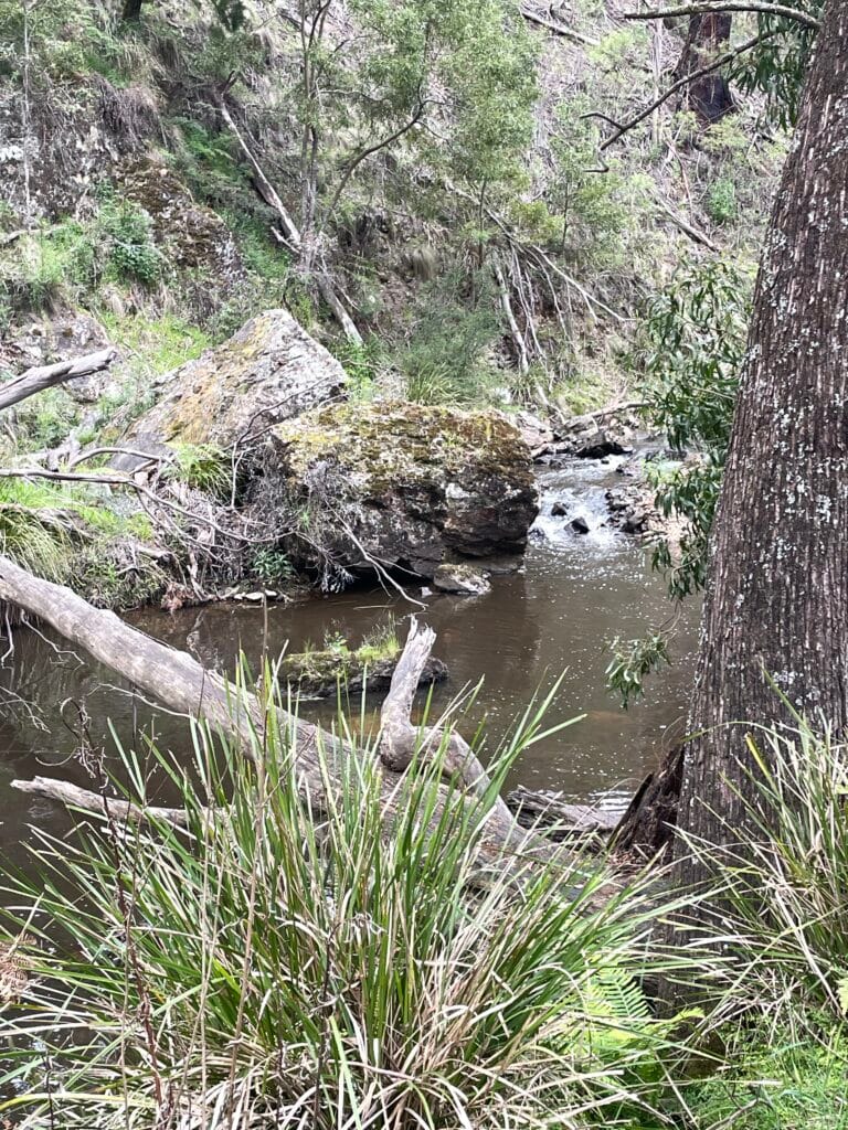 TakeShape Adventures - SpargoCreek (1)