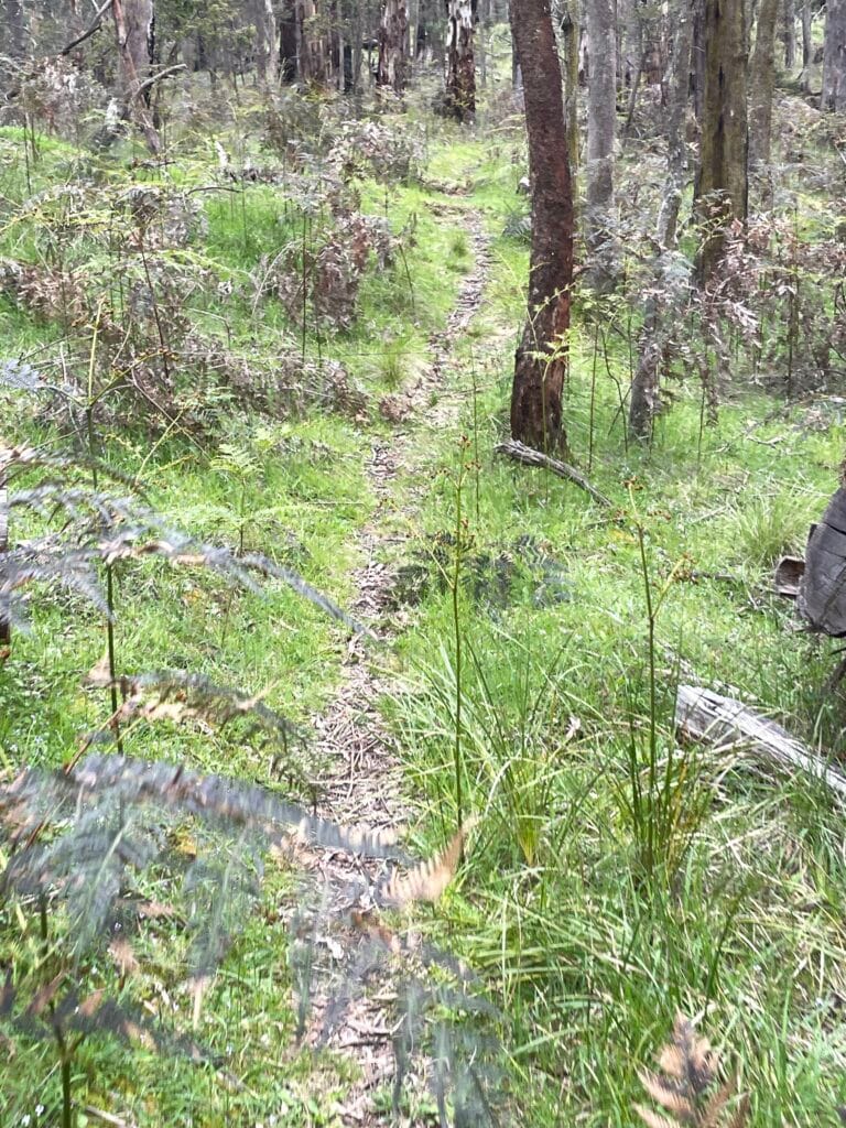 TakeShape Adventures - SpargoCreek (2)