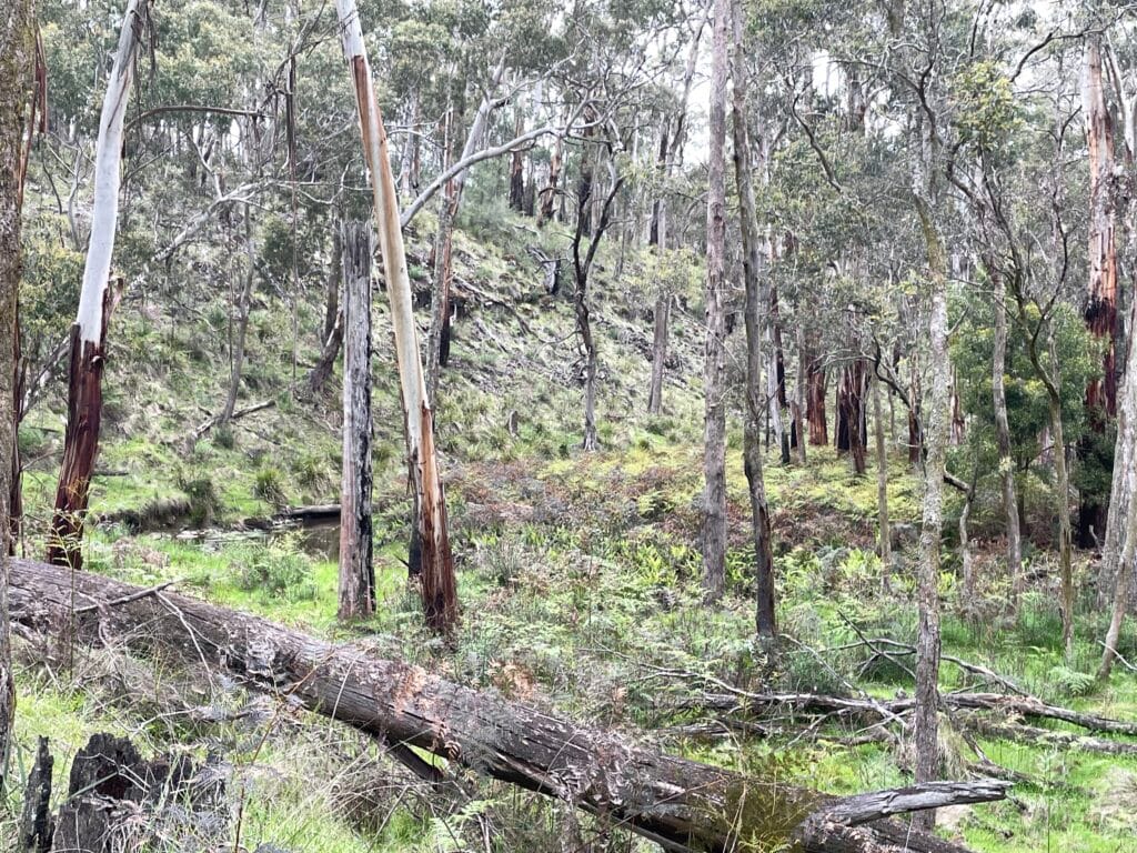 TakeShape Adventures - SpargoCreek (3)