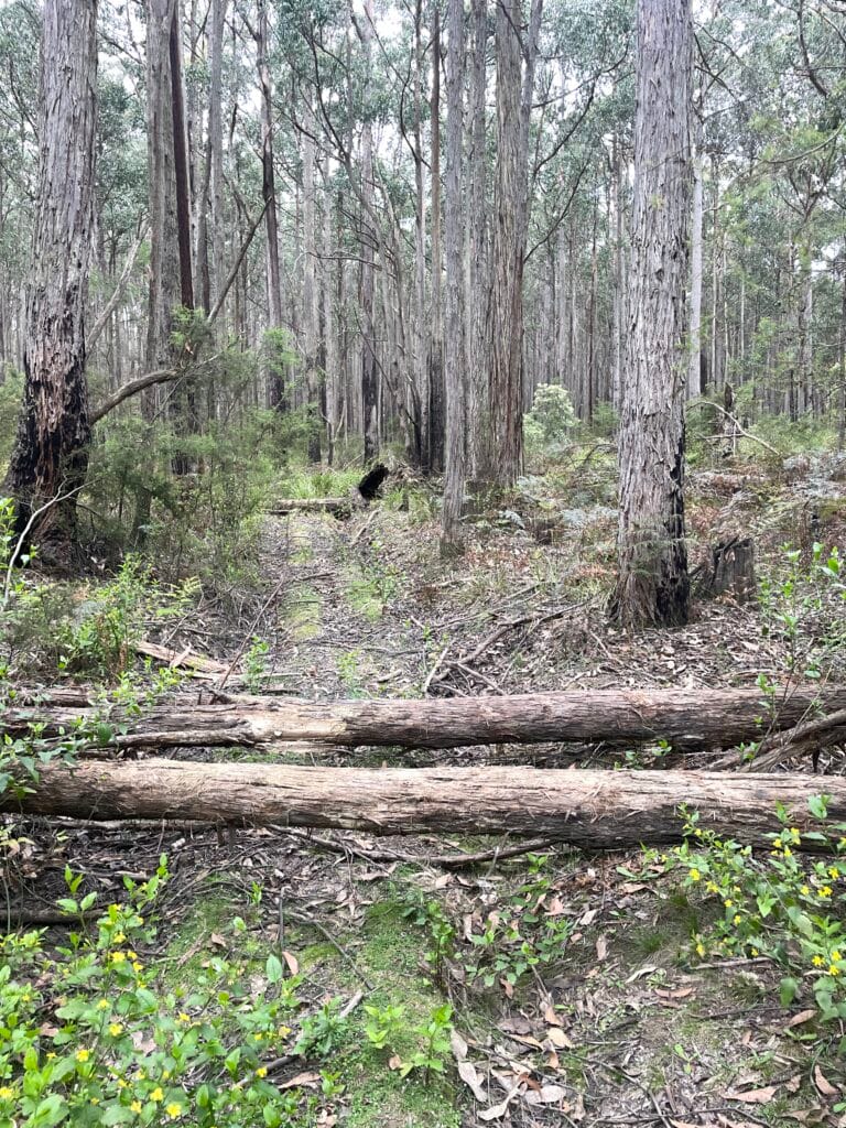 TakeShape Adventures - SpargoCreek (7)