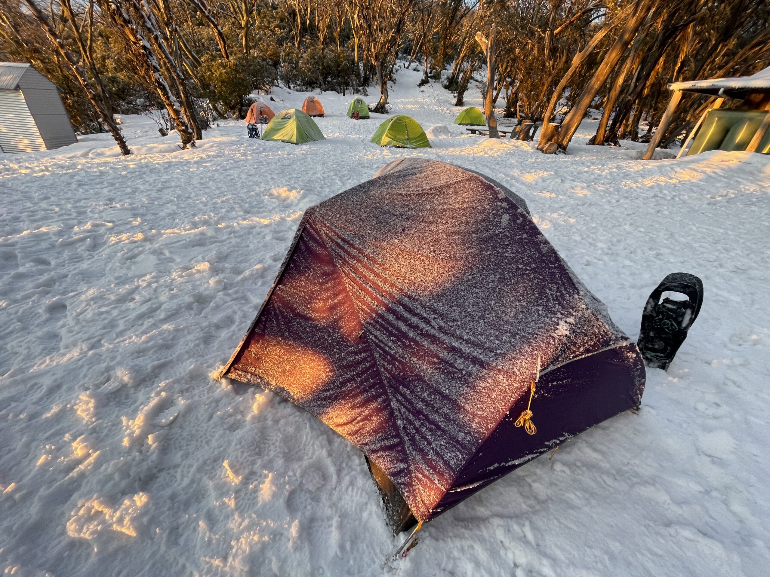 Snow Hike - Mount Stirling 1 a tent in the snow