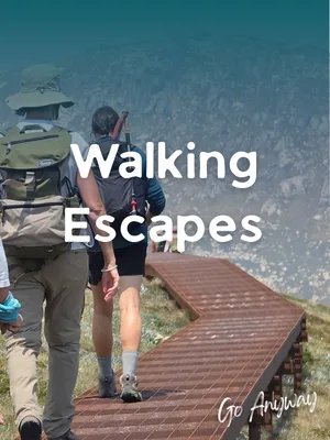 Walking Escapes