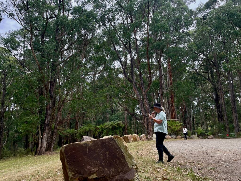 TakeShape Adventures - dandenongsphotography_22022026_10