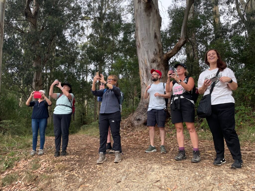 TakeShape Adventures - dandenongsphotography_22022026_4