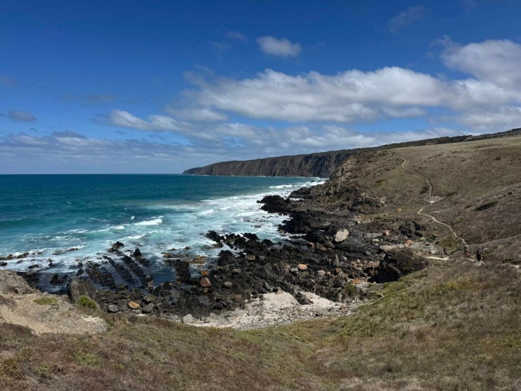 TakeShape Adventures - hikeandvine_06032026_4