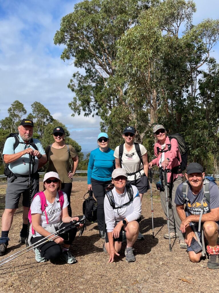 Group of hikers in nature.