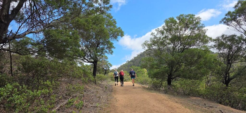 TakeShape Adventures - youyangs_21032026_2