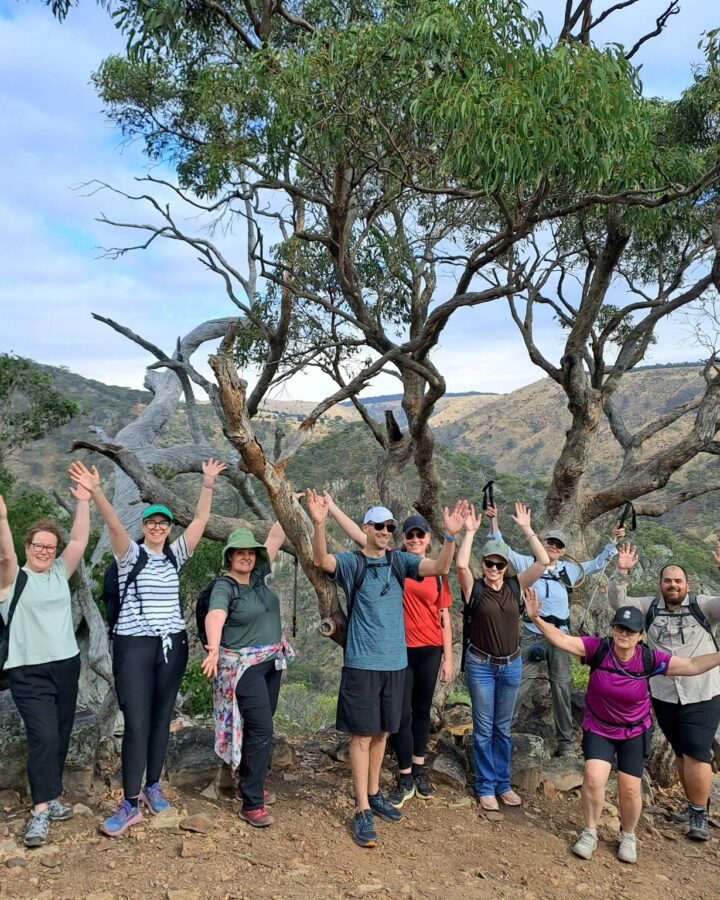 Group of hikers celebrating outdoors.