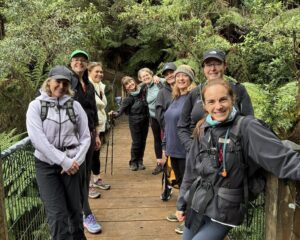 Group of hikers on wooden bridge
