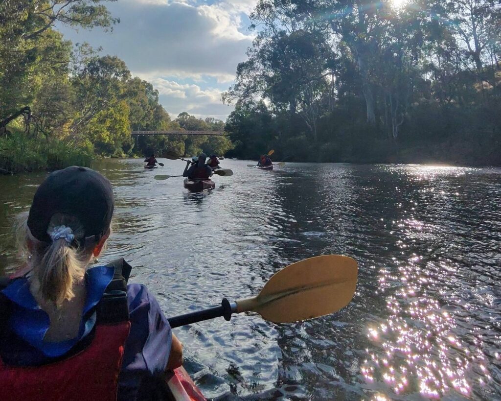 Kayakers paddling on a serene river.
