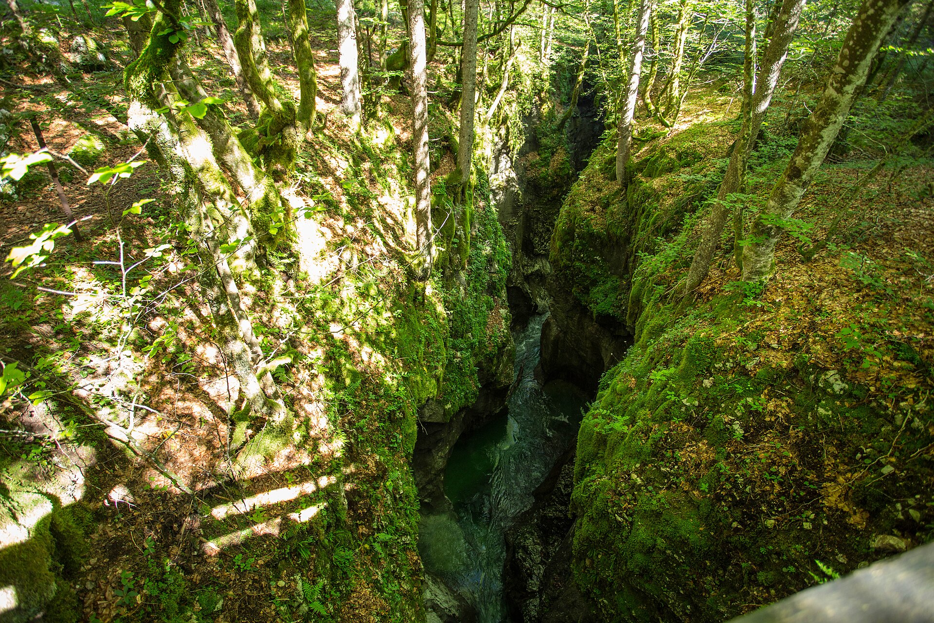 The mossy limestone Mostnica gorge near Bohinj