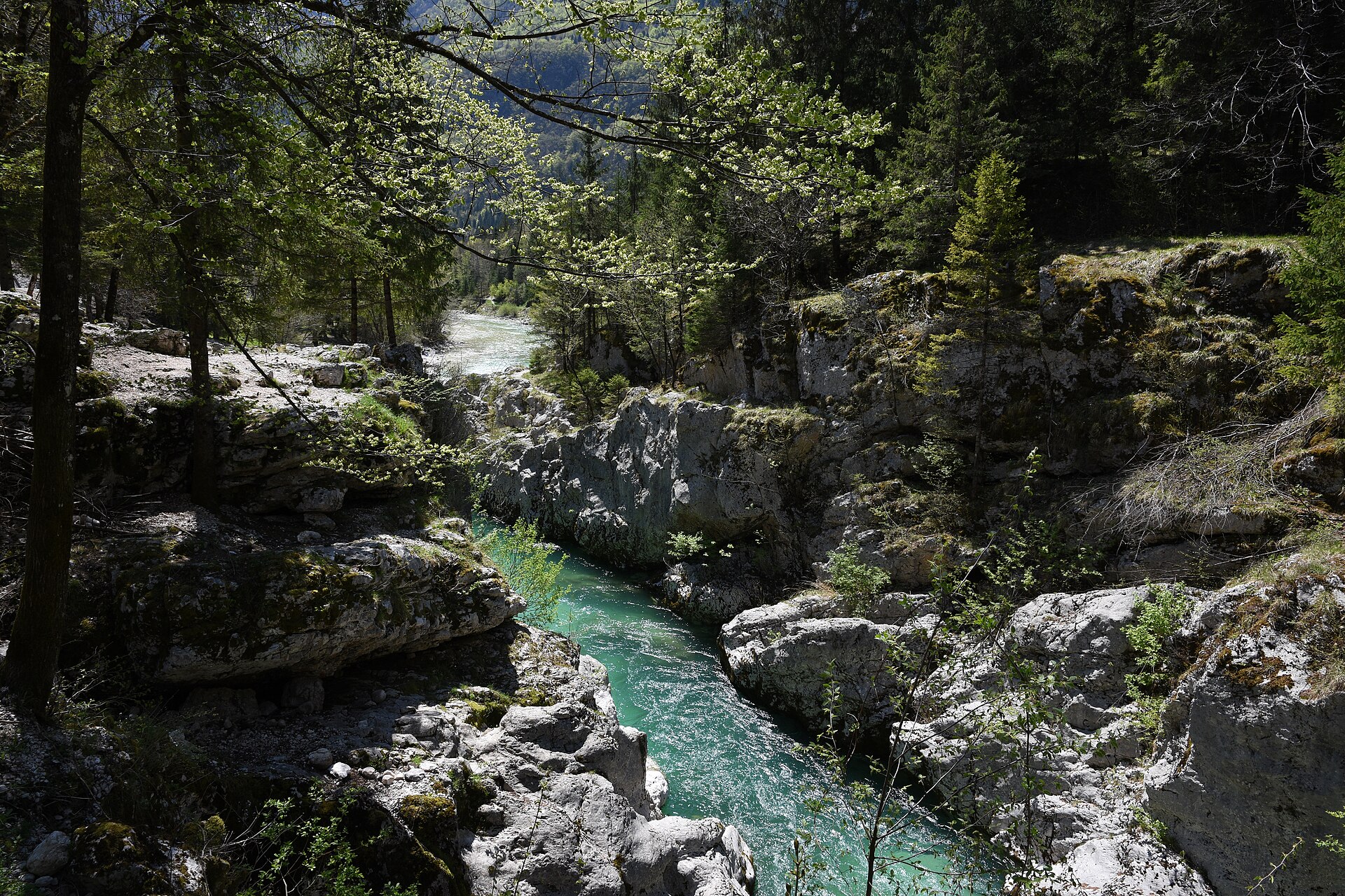Wild Slovenia
