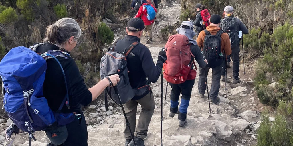 Everything You Need to Know About Hiking Poles 1 A group of hikers climbing Mount Kilimanjaro in Tanzania on the Take Shape Adventures Kilimanjaro Adventure Tour