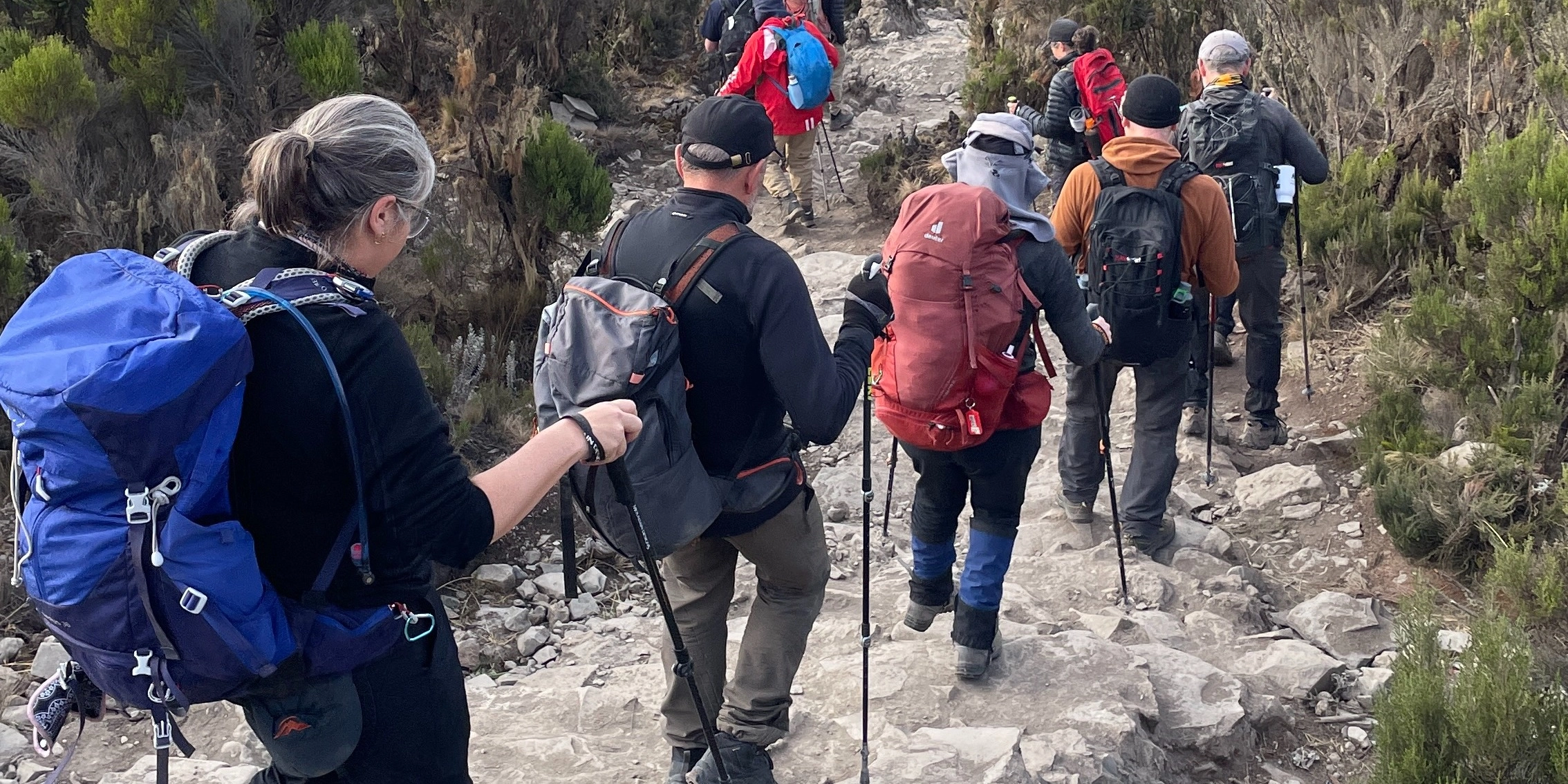 A group of hikers climbing Mount Kilimanjaro in Tanzania on the Take Shape Adventures Kilimanjaro Adventure Tour