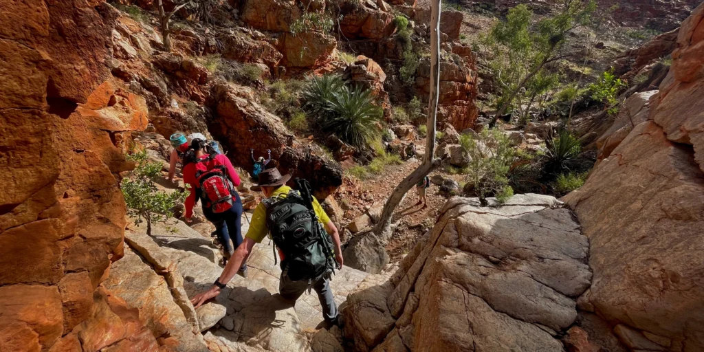 Why Luxury Escapes don't deliver like Adventure Tours 1 Take Shape Adventures hikers walking along the Larapinta Trail in the Northern Territory