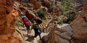Why Luxury Escapes don't deliver like Adventure Tours 2 Take Shape Adventures hikers walking along the Larapinta Trail in the Northern Territory
