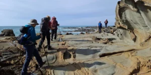 A group of hikers walking along a rocky coast on the Great Ocean Road Walk in Victoria